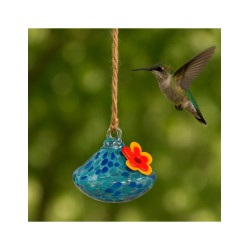 Alimentadores de Colibrí azul - ID 49740