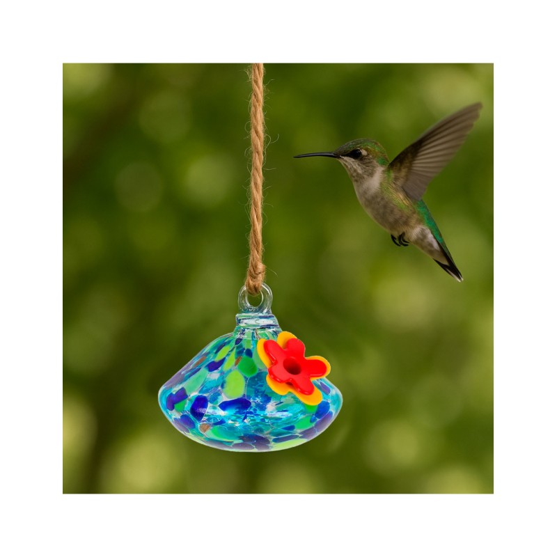 Alimentadores de Colibrí azul con verde - ID 49738